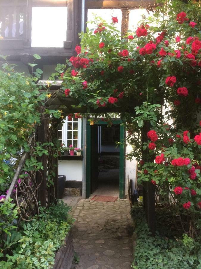 Apartment 1 Am Damm Quedlinburg Exterior photo